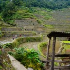 Banaue i tarasy ryżowe Batad