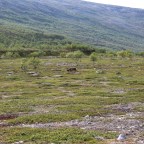 Finnmark – norweskie pustkowie
